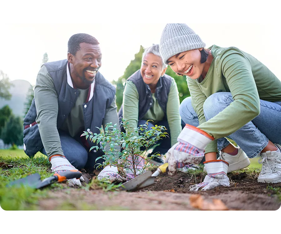 Lessons from Devon Connect: why local is the future of volunteering